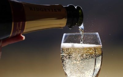 Dégustation de Champagnes – Jeudi 22 décembre 2022
