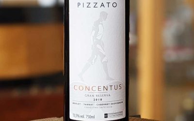 Concentus 2018 – Domaine Pizzato