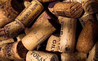 Dégustation des vins de Chablis – Jeudi 26 Février 2026 –