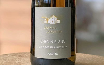 Anjou Chenin Blanc Clos des Fresnaies 2019 - Domaine Dhommé