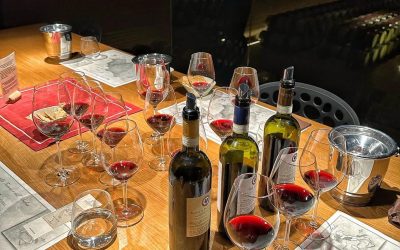 Venez vivre le vin autrement – Jeudi 26 mars 2026