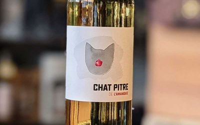 Chat Pitre Blanc 2022 – Clos de L’Amandaie