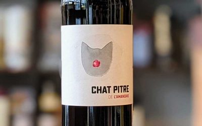 Chat Pitre Rouge 2021 - Clos de L'Amandaie