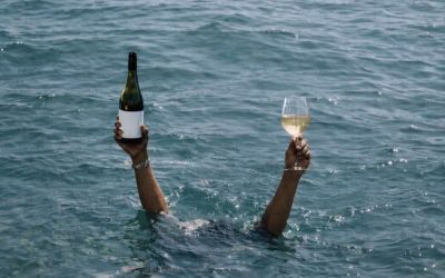 Voyage au cœur des saveurs du Sud
